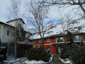  Ferienwohnung Roeder Mühle  Зааль-На-Дунае